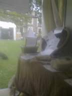 igs 2011 farmleigh 1500.jpg